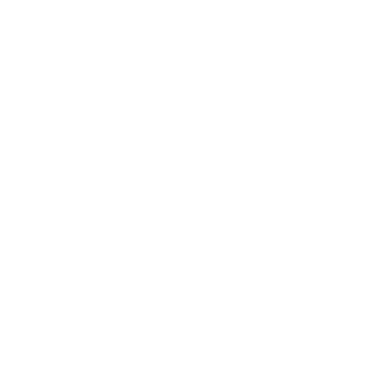 NextSpin 360 logo